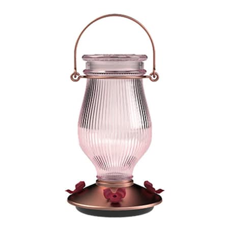 Daretocare 24 oz Sun Kissed Top Fill Hummingbird Feeder DA2668506